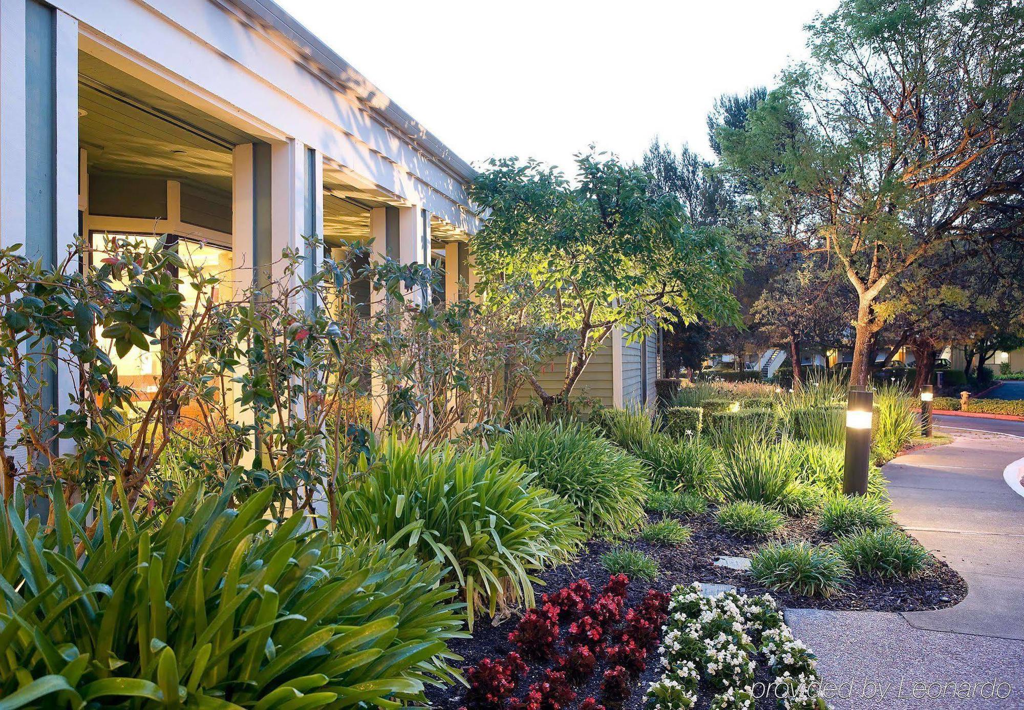 Courtyard San Francisco Larkspur Landing/Marin County Hotel Eksteriør billede